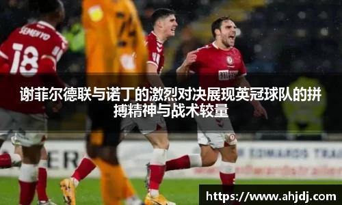 谢菲尔德联与诺丁的激烈对决展现英冠球队的拼搏精神与战术较量